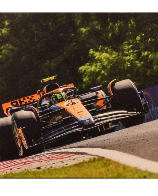 230055 2024 Hungary GP canvas front view